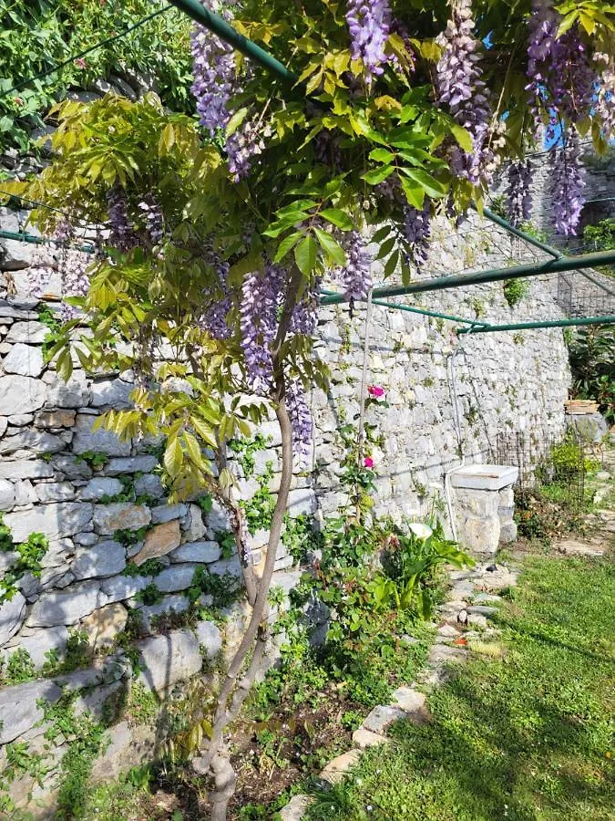 La Bouganvilla Porto Venere 0*,  Italy