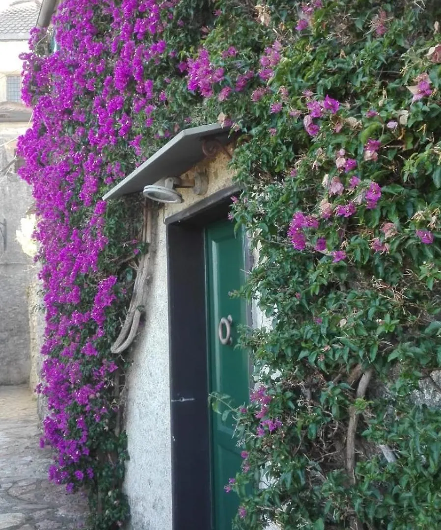 La Bouganvilla Porto Venere 0*,